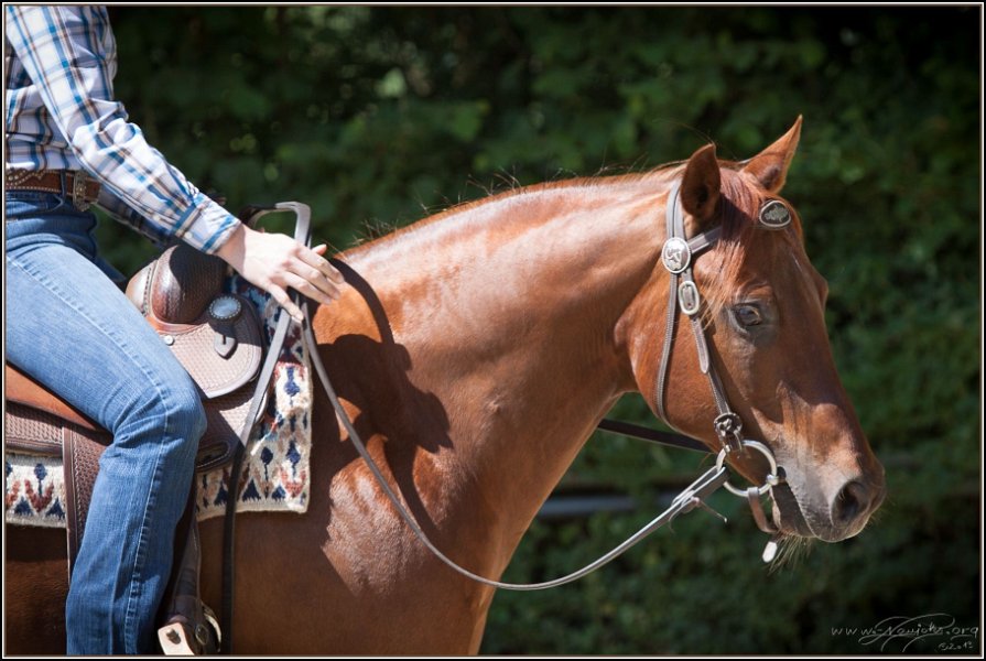 Thalmeier Ranch 2014 06 15 - 107